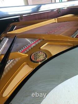 Petrof Grand Piano Model IV 2004 Purchase