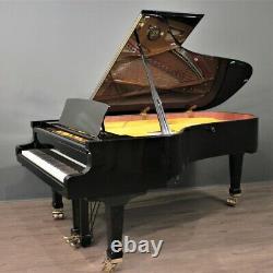 Petrof Model II 7'9'' Semi-Concert Grand Piano