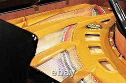 Petrof Model II 7'9'' Semi-Concert Grand Piano
