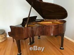 Petrof Model V Baby Grand Piano in Polished Walnut, one owner