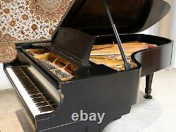 Rare STEINWAY & SONS Model C Semi-Concert Grand Piano
