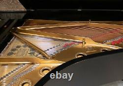 Rare STEINWAY & SONS Model C Semi-Concert Grand Piano