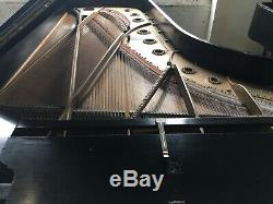 Rare Steinway Concert Grand Model D Piano Underneath Originally Rosewood Veneer