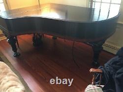 Recently Restored Steinway Model B - Family-Owned Since 1906