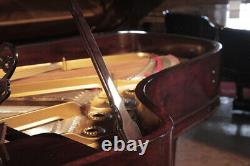 Restored, 1899, Steinway Model B grand piano in rosewood. 3 year warranty