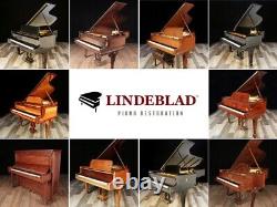 Restored Steinway Grand Piano, Model A3 with Player System Free USA shipping