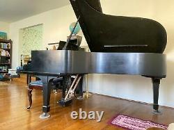 Satin Black 1881 Steinway & Sons Model B 6'11 Grand Piano