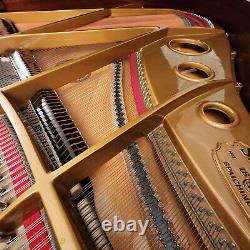 Sauter Grand Piano Model 160 Handmade in Germany