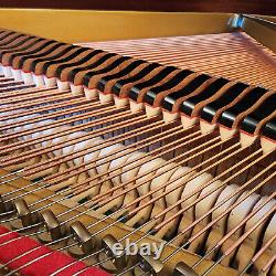 Sauter Grand Piano Model 160 Handmade in Germany