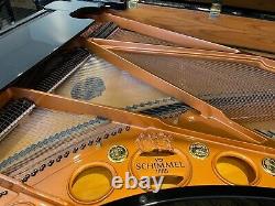 Schimmel Artist Grand Model 208 6'10 PE Made in Germany in Beautiful Condition