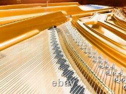 Showroom perfect, un-used BLUTHNER Model 2 Semi-Concert Grand Piano BLUETHNER