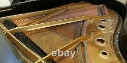 Steinway 1908 Model A Baby Grand Piano Ebony Refurbished