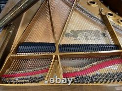 Steinway A 6'4 Grand Piano Picarzo Pianos Louis XV Satin Walnut Model VIDEO
