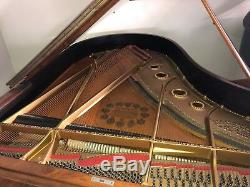 Steinway Art Case Model A Grand Piano Rosewood Professionally Restored Chicago