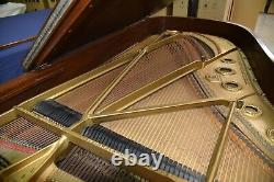 Steinway B 1919 Perfect for Rebuilding. Create your own Tone and Touch