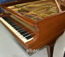 Steinway B 1919 Perfect for Rebuilding. Create your own Tone and Touch