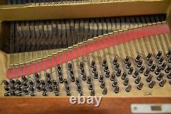 Steinway B 1919 Perfect for Rebuilding. Create your own Tone and Touch