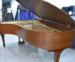 Steinway B 1919 Perfect for Rebuilding. Create your own Tone and Touch