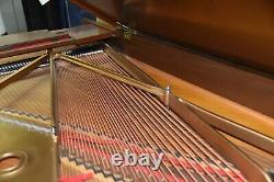 Steinway B 1980 Classic Big 80's Tone Walnut Finish Lowest Prices in 5 Years