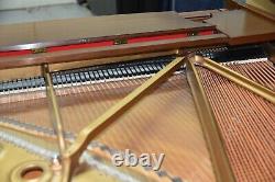 Steinway B 1980 Classic Big 80's Tone Walnut Finish Lowest Prices in 5 Years