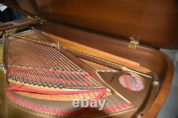 Steinway B 1980 Classic Big 80's Tone Walnut Finish Lowest Prices in 5 Years