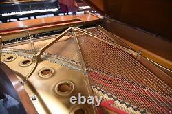 Steinway B 1980 Classic Big 80's Tone Walnut Finish Lowest Prices in 5 Years