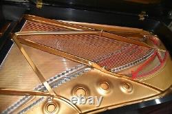 Steinway B 1994 Bold Tone. Satin Ebony, pppp to ffff Dynamic Color Range