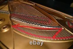 Steinway B 1994 Bold Tone. Satin Ebony, pppp to ffff Dynamic Color Range