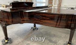 Steinway B 6'11 Grand Piano Picarzo Pianos Polished Macassar Ebony Model