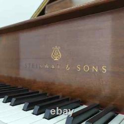 Steinway B (6'11) in Satin Walnut #436291