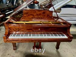 Steinway B Model Conservatory Piano Meticulous Restoration