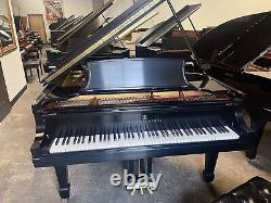 Steinway B Model Grand Piano Free Delivery Nyc Metr0