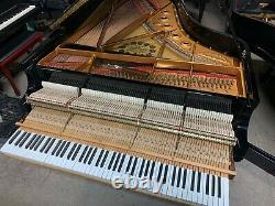 Steinway B Model Grand Piano Super Gloss Gorgeousness