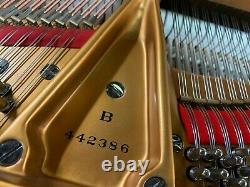 Steinway B Model Grand Piano Super High Gloss Gorgeousness