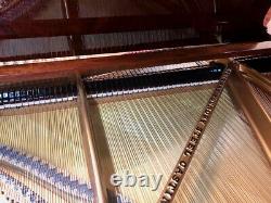 Steinway B Model Piano Meticulous Restoration