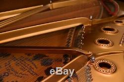 Steinway B Tiffany Limited Edition Collection #68 Rare African Pommele Wood