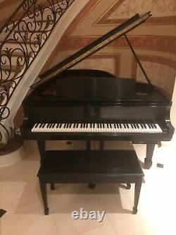 Steinway Baby Grand Model M piano in matte black with CD player
