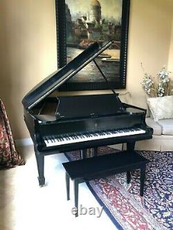 Steinway Baby Grand Piano Ebony Model 0, 1906 Quality Collectible Antique