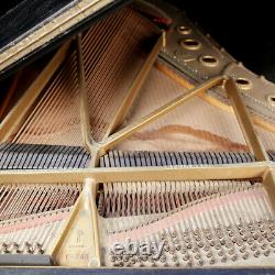 Steinway Grand Piano, Golden Era Model B- 6'11