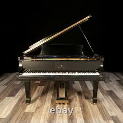 Steinway Grand Piano, Model A3 6'4.5