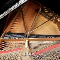 Steinway Grand Piano- Model B