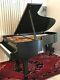 Steinway Grand Piano, Model B, 1984, Black Ebony, New Hammers Last Year