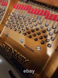 Steinway Grand Piano Model D