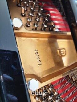 Steinway Grand Piano Model D
