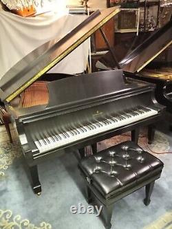 Steinway Grand Piano Model M