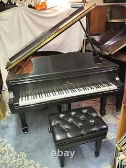 Steinway Grand Piano Model M