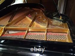 Steinway Grand Piano Model M