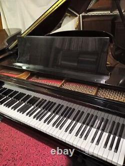 Steinway Grand Piano Model M