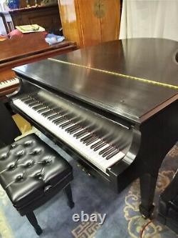 Steinway Grand Piano Model M