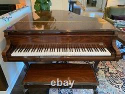 Steinway Grand Piano Model M